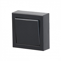 1066A-81 Переключатель накладного монтажа, Impressivo, антрацит ABB. Вид 1