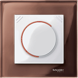 Schneider Electric: MTN567819