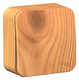 Systeme Electric: BLNVA101005