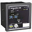 Rh99p 110/130 в 50/60 гц с руч. сбросом Schneider Electric. Вид 1.