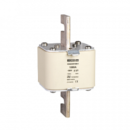 Предохранитель 315A, тип GG,размер 2 Schneider Electric. Вид 1