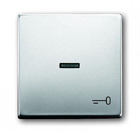 1789 TR-866 Клавиша для механизма 1-клавишного выключателя/переключателя/кнопки, с прозрачной линзой и символом ""КЛЮЧ"", серия pur/сталь ABB. Вид 1