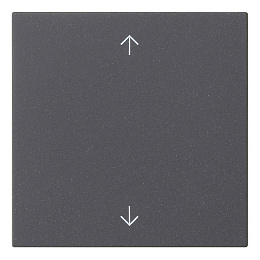 Накладка на жалюзийный выключатель (антрацит) System 55 Gira. Вид 1