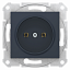 Розетка 16А без з/к, без шторок, быстрозажимные контакты (графит) Sedna Schneider Electric. Вид 1.