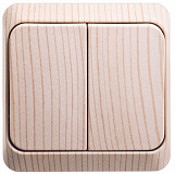 Systeme Electric: BA10-006D