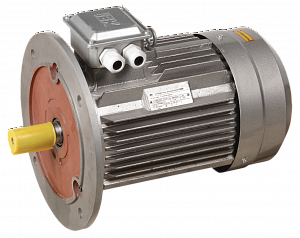 Эл. двиг. 3 фазы, АИР 132S6 380В 5,5кВт 1000 об/мин 3081 DRIVE IEK. Вид 1