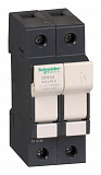 Schneider Electric: DF81N