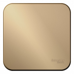 Переключатель 1-клавишный, О/У, (cх.6) изол.пл, 10а, 250b (титан) Blanca Systeme Electric. Вид 1