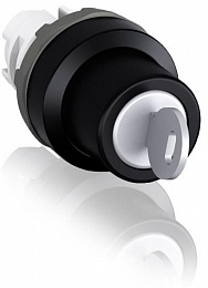 M2SSK2-103 Переключатель с ключом 2-х позиционный (только корпус ) 45# (ключ Ronis 73 достается в среднем положении) ABB. Вид 1