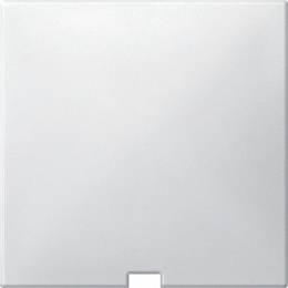 Центральная плата для переключателя со шнурком, sd (полярный белый) Merten Schneider Electric. Вид 1