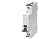 Siemens: 5SY41065