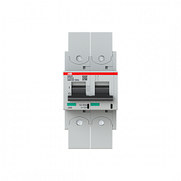 S802P C125 R Автоматический выключатель, 2-полюсный, 125А, 50kA, с кольцевой клеммой (хар-ка C) ABB. Вид 1