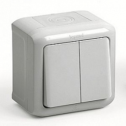 Выключатель 2-клавишный 10A, IP44, (серый) Quteo Legrand. Вид 1