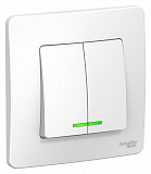 Systeme Electric: BLNVS010511