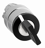 Schneider Electric: ZB4BG4F034