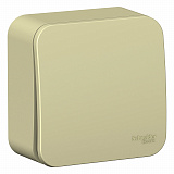 Systeme Electric: BLNVA101017