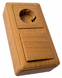 Schneider Electric: KP-252-88