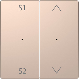 Клавиша 2-ная с s1/s2, вх/вз (шампань) Merten D-Life Schneider Electric. Вид 1