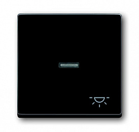 1789 LI-81 Клавиша для механизма 1-клавишного выключателя/переключателя/кнопки, с прозрачной линзой и символом "СВЕТ", серия solo/future, цвет антрац. Вид 1