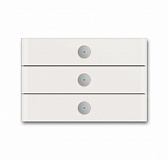 ABB: 2CKA006310A0172