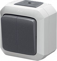 3558N-C05510 S Выключатель двухклавишный IP54 серый Variant+ ABB. Вид 1