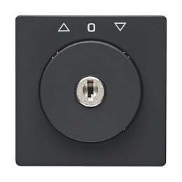 Накладка с замком к жалюзийному замочному выключателю (антрацитовый, бархатный лак) Q.1/Q.3 Berker. Вид 1