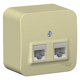 Розетка двойная, О/У компьютерная RJ45, кат.5e, изол.пл. (бежевый) Blanca Systeme Electric. Вид 1
