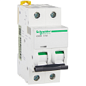 Schneider Electric: A9F18206