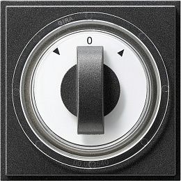 Накладка на жалюзийный выключатель (антрацит) TX_44 Gira. Вид 1