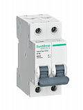 Автоматический выключатель 2-полюсный, 16А, 6kA (хар-ка С) City9 Systeme Electric