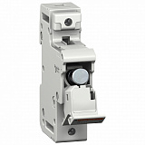Schneider Electric: MGN15708