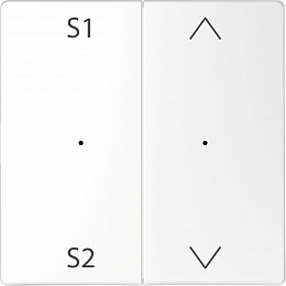 Клавиша 2-ная с s1/s2, вх/вз (белый лотос) Merten D-Life Schneider Electric. Вид 1
