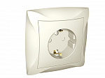 Schneider Electric: WDE000244