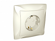 Schneider Electric: WDE000244