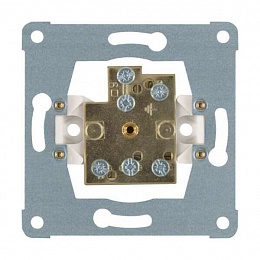 Розетка двойная с выравниванием потенциалов Berker. Вид 1