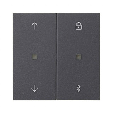 GIRA: G536728