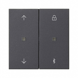 Накладка на жалюзийный выключатель (антрацит) System 55 Gira. Вид 1