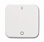 ABB: 2CKA001731A0884