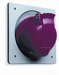 232 RAU6 Розетка панельная с угловым унифицированным фланцем 32A, 2P+E, IP44 ABB. Вид 1