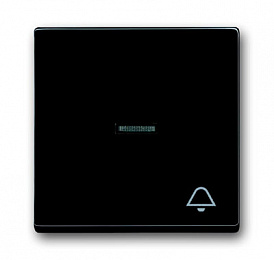 1789 KI-81 Клавиша для механизма 1-клавишного выключателя/переключателя/кнопки, с прозрачной линзой и символом "ЗВОНОК", серия solo/future, цве антра. Вид 1