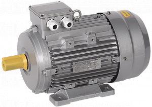 Эл. двиг. 3 фазы, АИС 112L2 380В 5,5кВт 3000 об/мин 1081 DRIVE IEK. Вид 1
