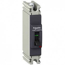 Термомагнитный 1 полюсный автомат 40А 25kA, подключ. под шину Schneider Electric. Вид 1