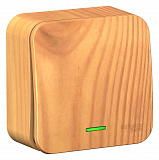 Systeme Electric: BLNVA106115