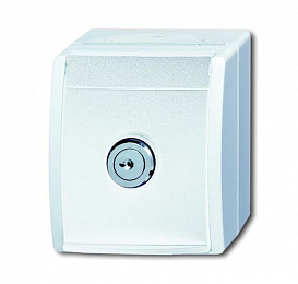 BJE20 EWSL-54 Розетка SCHUKO 16А 250В IP44 для открытого монтажа, с зам., серия ocean, цвет альпийский белый ABB. Вид 1