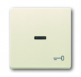 1789 TR-82 Клавиша для механизма 1-клавишного выключателя/переключателя/кнопки, с прозрачной линзой и символом "КЛЮЧ", серия solo/future, цвет savann. Вид 1