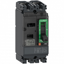 NSX100S 2P TMD 100 Автоматический выключатель 2-полюсный, 100А,70kA Schneider Electric. Вид 1