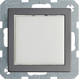 Berker: B29536084