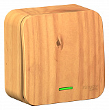 Systeme Electric: BLNVA101115