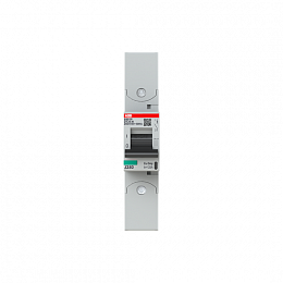 S801P D125 R Автоматический выключатель, 1-полюсный, 125А, 50kA, с кольцевой клеммой (хар-ка D) ABB. Вид 1