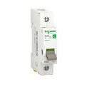 Schneider Electric: R9PS163